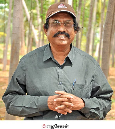வடகிழக்குப் பருவ மழை... மரங்களுக்கு வட்டப்பாத்தி, கவாத்து அவசியம்!
