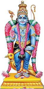 கேள்வி-பதில் : சேஷாத்ரிநாத சாஸ்திரிகள்