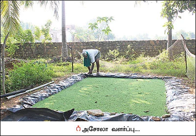 நம்மாழ்வார் கற்றுக்கொடுத்த நல் தொழில்நுட்பம்!