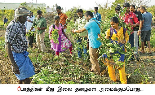 ஒரு நாள் விவசாயி! பருவம்-2 - அசத்தும் கீரை சாகுபடி!