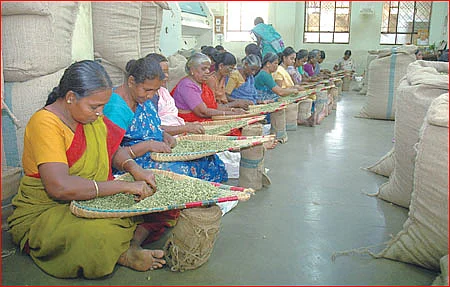 எந்த ஊரில் என்ன வாங்கலாம்?