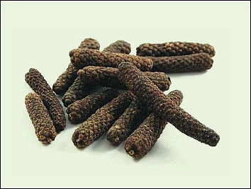 நோய்களைத் தடுக்கும் காவல்வீரன் - திப்பிலி