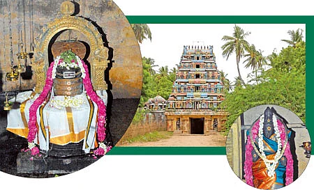 ஆரோக்கியம் அருளும் ஆலய விருட்சங்கள்!