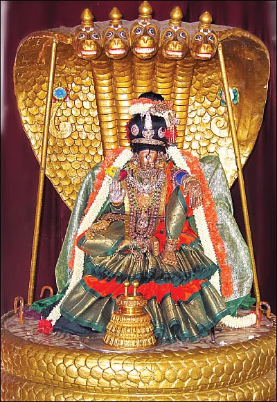 அல்லிக்கேணியில் அழகுத் திருக்கோலம்!