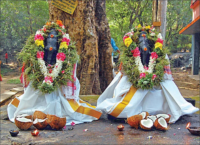 சித்தர்கள் போற்றும் அத்ரி மலை