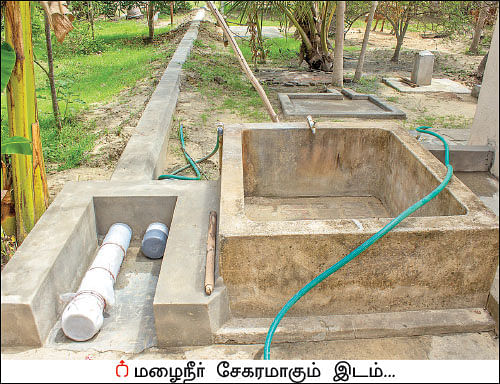 அசத்தும் மழைநீர்ச் சேமிப்பு! - 50 நாள்கள்... 8 முறை மழை... 50 ஆயிரம் லிட்டர்!