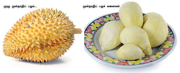 மாயா டீச்சரின் மந்திரக் கம்பளம்!