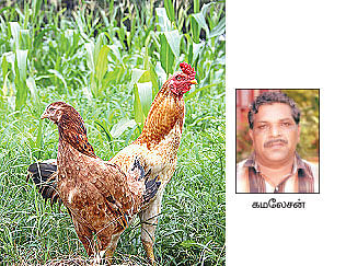 நீங்கள் கேட்டவை