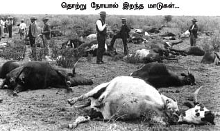 மாயா டீச்சரின் மந்திரக் கம்பளம் !