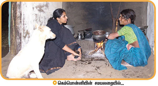 ஆசை - கனவு... காடு... கதைகள்!