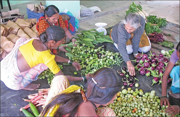 விளையும் விலையும்! - சந்தைக்கு வழிகாட்டும் தொடர் - 5