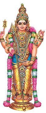 திருமண தோஷம் நீங்கும் !