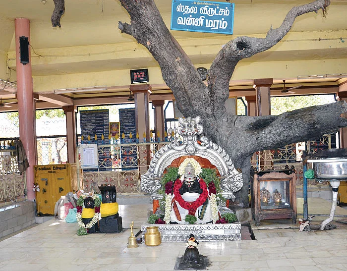 வெற்றிகள் தருவார் வன்னி விநாயகர்!
