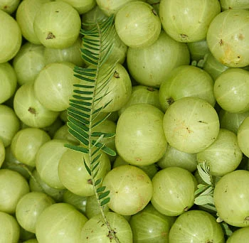 பலம் தரும் பழங்கள்!