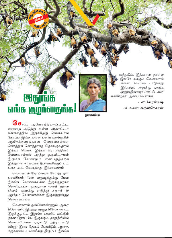 இதுங்க எங்க குழந்தைங்க!