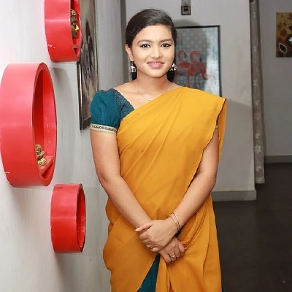 'ராஜா ராணி', 'செம்பருத்தி'க்கு இடையே இந்த 5 ஒற்றுமைகளை கவனிச்சிருக்கீங்களா?!