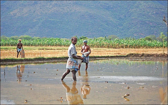 சங்க இலக்கியம் சொல்லும் வேளாண்மைச் செய்திகள்!