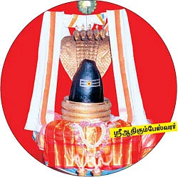 மங்கல வாழ்வு தரும் மாசி மகம்!