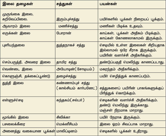 மண்புழு மன்னாரு: மூக்குப் பொடி அளவு உரமும் மகசூலைக் கூட்ட உதவும்!