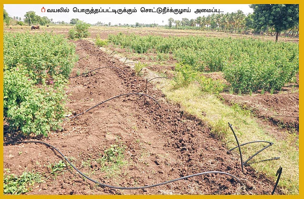 சொட்டுநீர்ப் பாசனம்... 3 - சொட்டுச் சொட்டாக நீர்... கட்டுக் கட்டாக லாபம்!