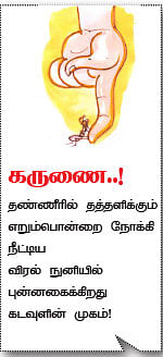 மேலே... உயரே... உச்சியிலே..! - 2