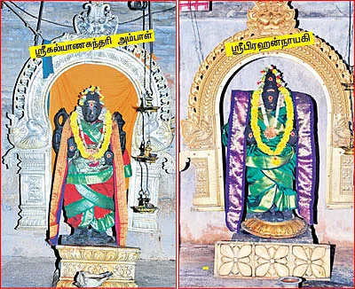 'என் மகளின் கூந்தல்தானே உமக்குப் பஞ்சவடி?!