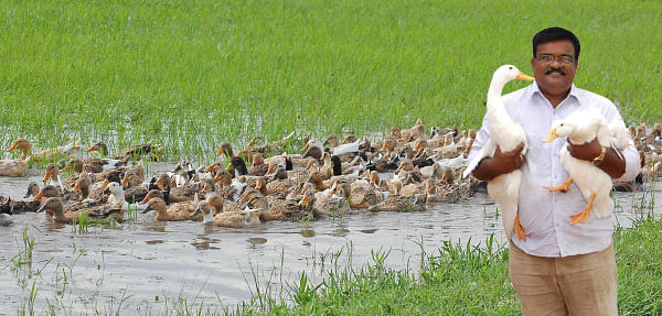 என் செல்லமே...