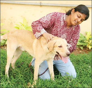 நாய் நோய் ஜாக்கிரதை!
