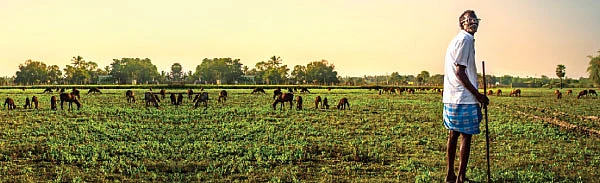 ஆறாம் திணை - 37