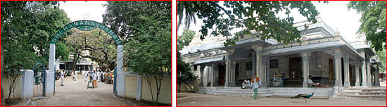 ஸ்ரீரமண மகரிஷி