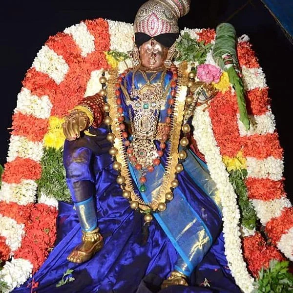 ஸ்ரீவில்லிப்புத்தூர் ஆடிப் பூரத்திருவிழா... ஆண்டாள் வீதியுலா தரிசனம்! #VikatanPhotoStory