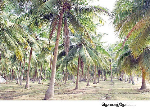 வறட்சியைச் சமாளிக்கும் வாய்க்கால்கள்... ஆட்கள் பிரச்னைக்கு அருமையான தீர்வு...