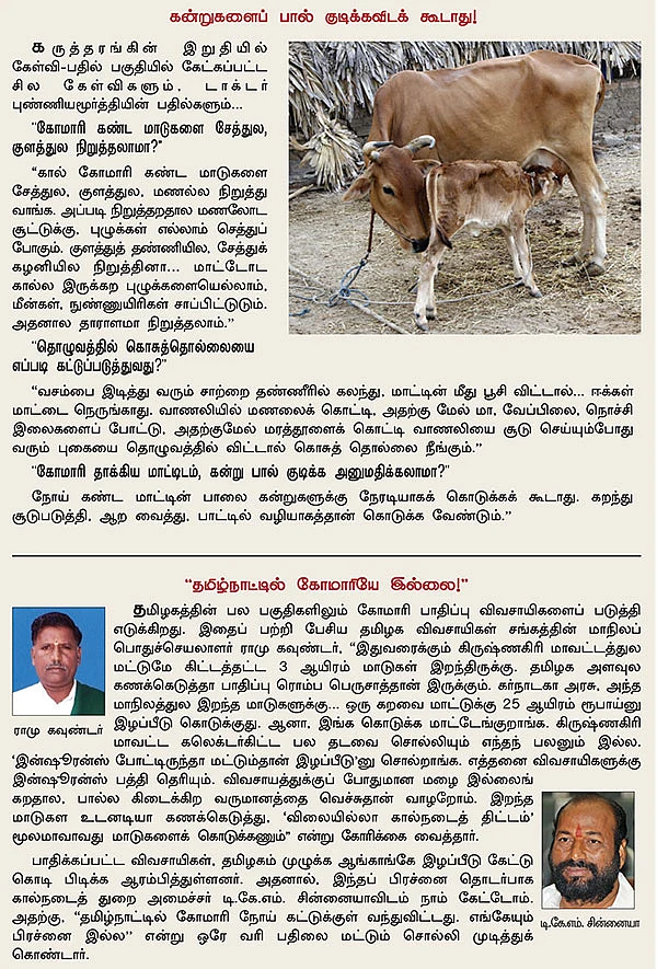 கொலைகார கோமாரி...இயற்கை முறையில் எளிய தீர்வு!