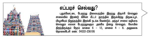 அருள் தரும் அம்மன் உலா! 