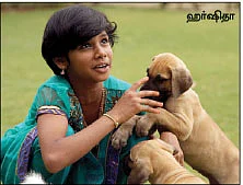 செல்லம் வளர்க்கலாம் உள்ளம் மகிழலாம் !