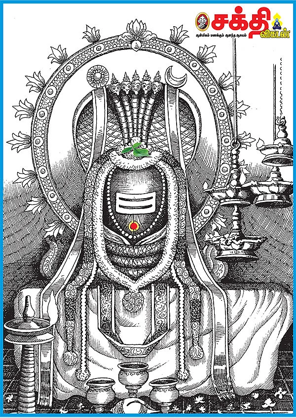 தீராத பாவத்தையும் தீர்க்கும் மஹா சிவராத்திரி...