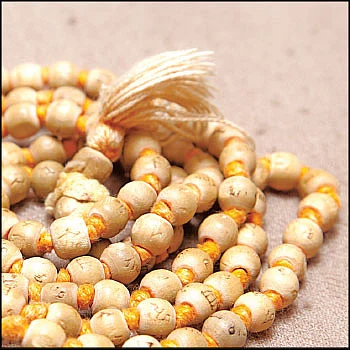 கேள்வி பதில் - உடலில் உயிர் தங்கும் இடம் எது?