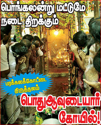 Sakthi Vikatan - 29 January 2010 - பொங்கலன்று மட்டுமே நடை திறக்கும் பொது  ஆவுடையார் கோயில்! | - Vikatan