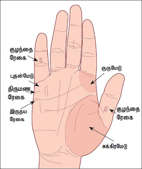 குழந்தை ரேகைகள்!