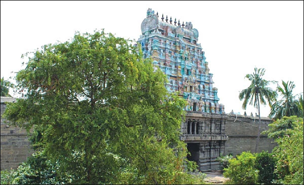 உன்னத வாழ்வு தரும் ஊட்டத்தூர்! - 6