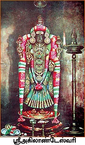 தேவாரத் திருவுலா!