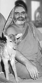 ஸ்ரீசாரதையின் அருள் வானில் இளம் ஞாயிறு..!