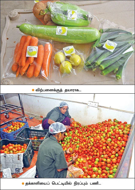 விதை முதல் விளைபொருள் விற்பனை வரை...வழிகாட்டும் ஓசூர் டி.வி.எஸ் நிறுவனம்!