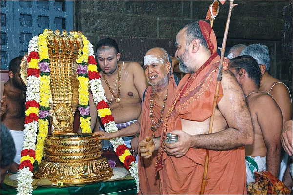 விழாக்கள்... விசேஷங்கள்! - ஸ்ரீகபாலீஸ்வரருக்கு தங்க நாகாபரணம்!