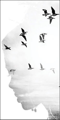 ஆண்பால் பெண்பால் அன்பால் - 48