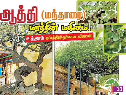 ஆரோக்கியம் அருளும் ஆலய விருட்சங்கள்!