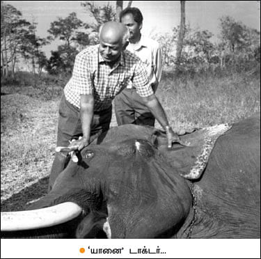 மண்புழு மன்னாரு: ‘உப்பு’ யானையும் வெள்ளை யானையும்!