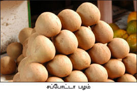 மரத்தடி மாநாடு