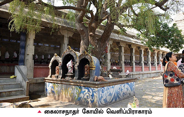 தேசிங்கு ராஜனின் குதிரைப் பெயர் என்ன?