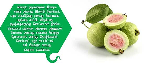 பழங்கள் பலன்கள்